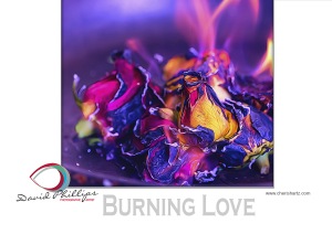 A Close-Up on Macro Photography