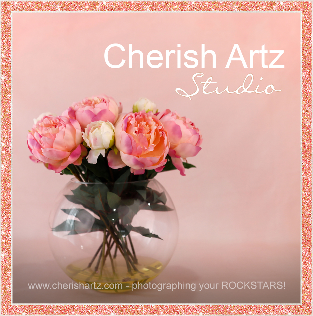 studio photography studio in north mackay for photographers