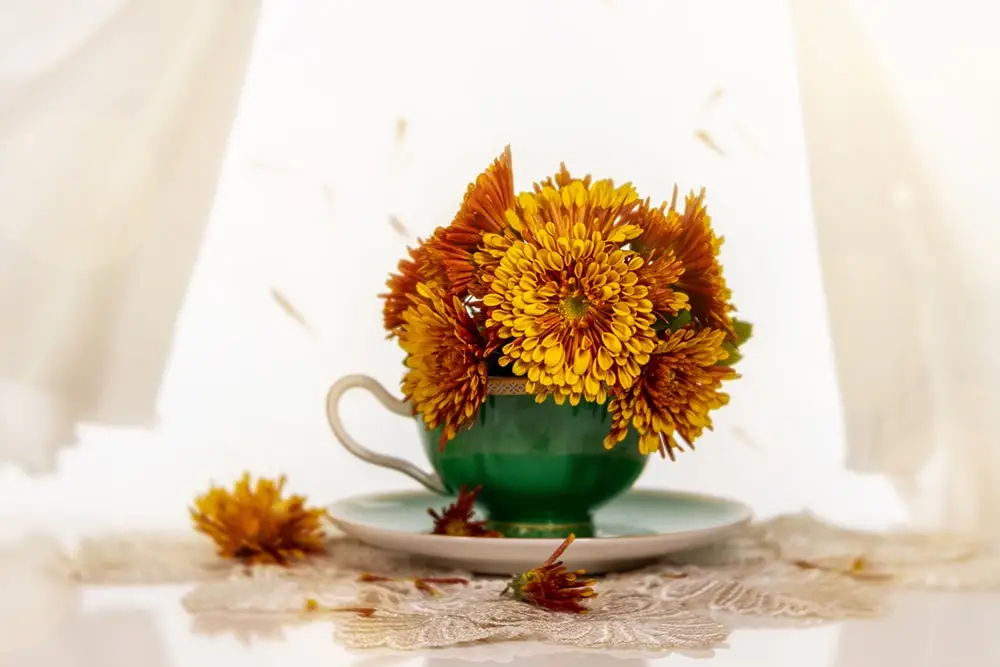get online and get creative with flower photogrpaphy courses