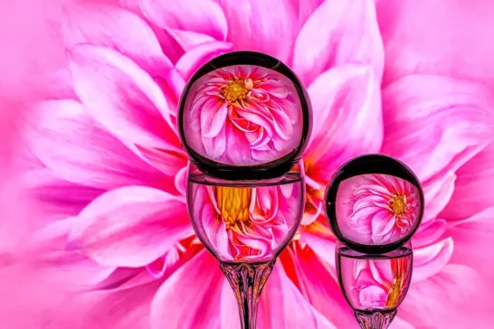 glass refraction photography workshops available online