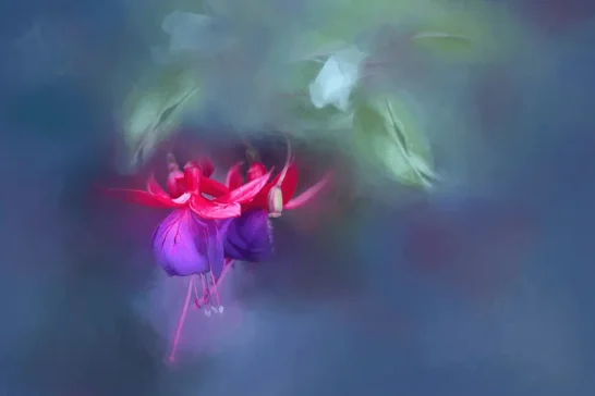 learn how to create self textures in your flower photography