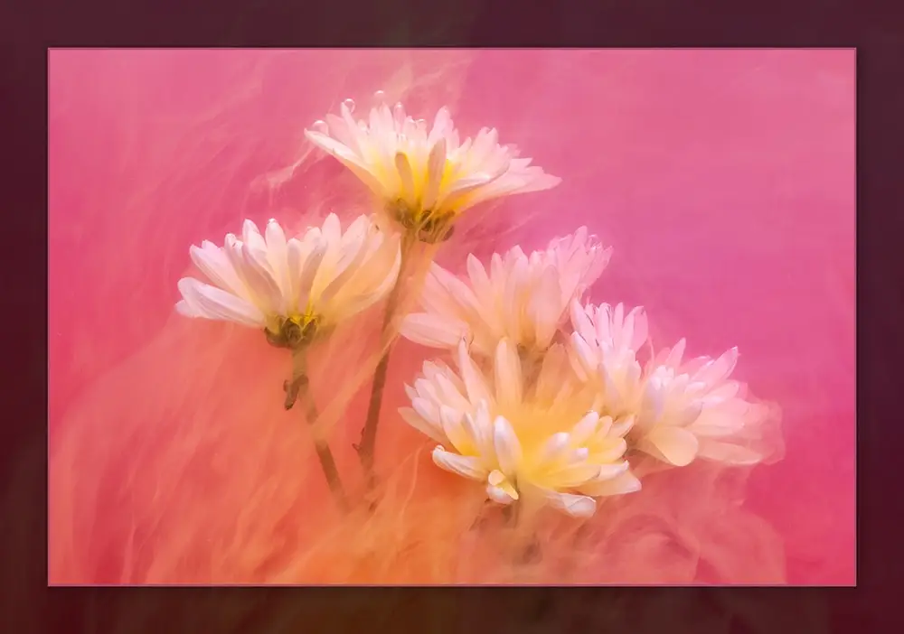 learn how to create submerged flower photography
