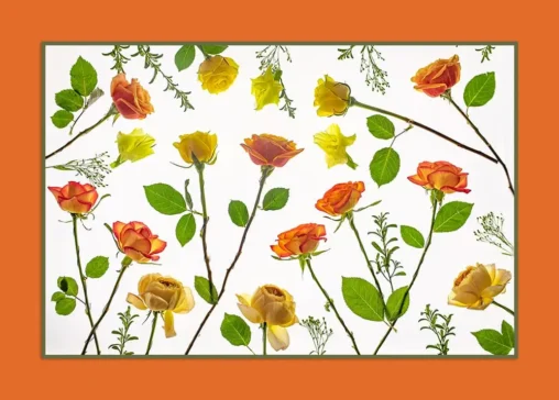 make beautiful floral designs in our photo workshop and lessons