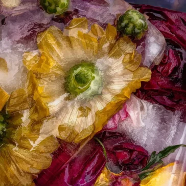 online lessons showing you how to create frozen flower artwork