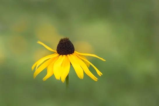 photo tour with create and escape photography workshops