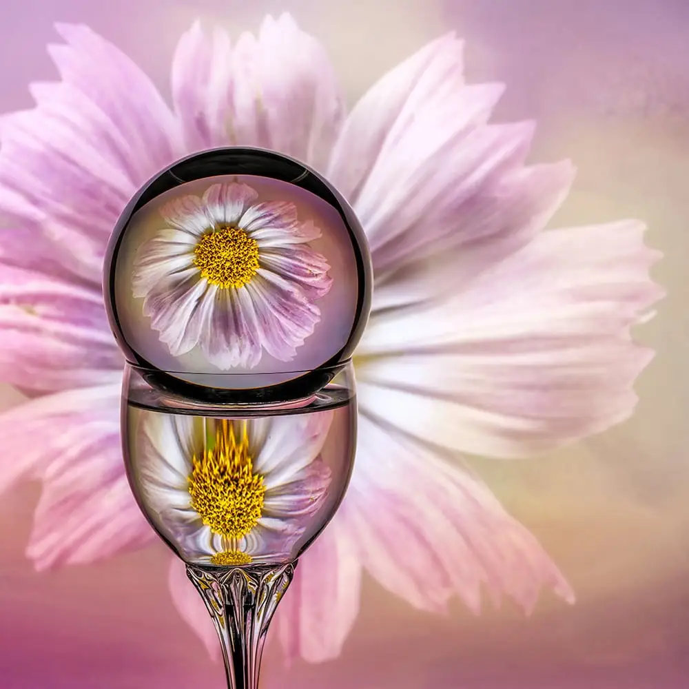 unique floral and flower photography online workshops