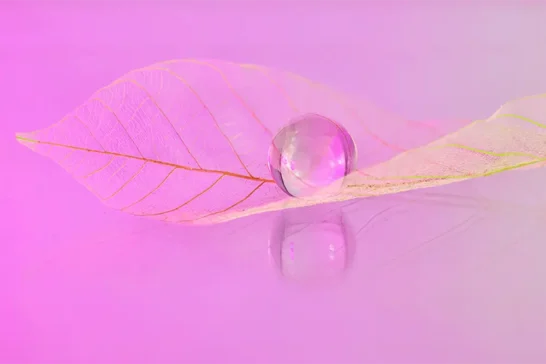 unique macro photography set up in our create and espace workshops