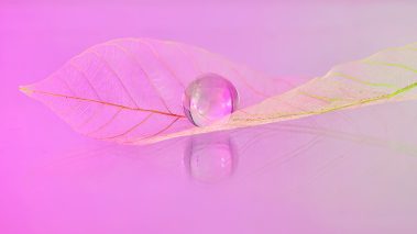 unique macro photography set up in our create and espace workshops