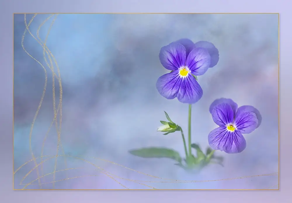 very pretty flower photography lessons offered