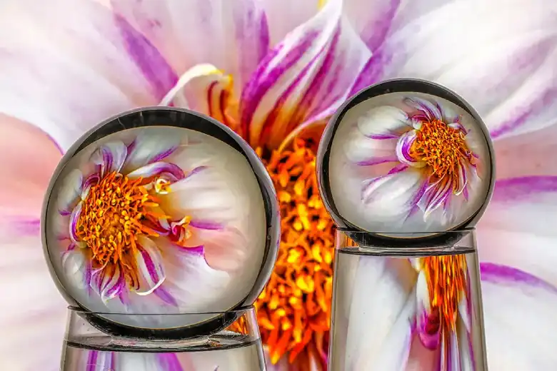 we show you how to create glass refractions in floral photography
