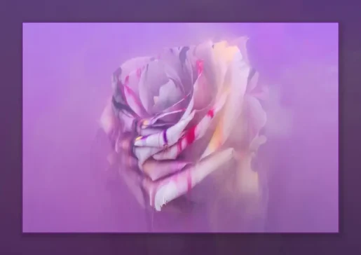 we teach you how to create this image in our macro and creative photo workshops