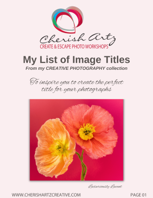 To Inspire You To Create The Perfect Title For Your Photographs