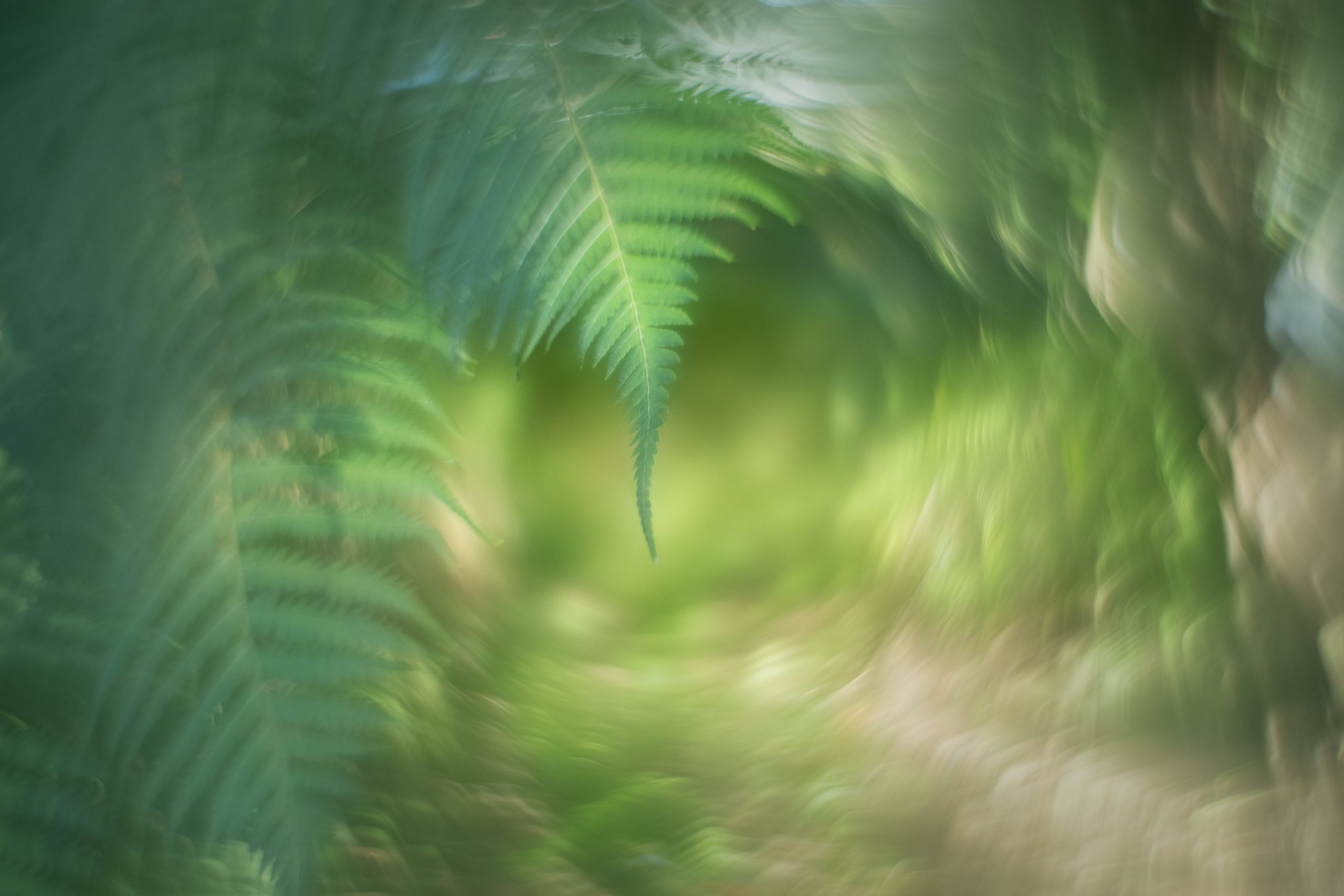 photoworkshops in queensland