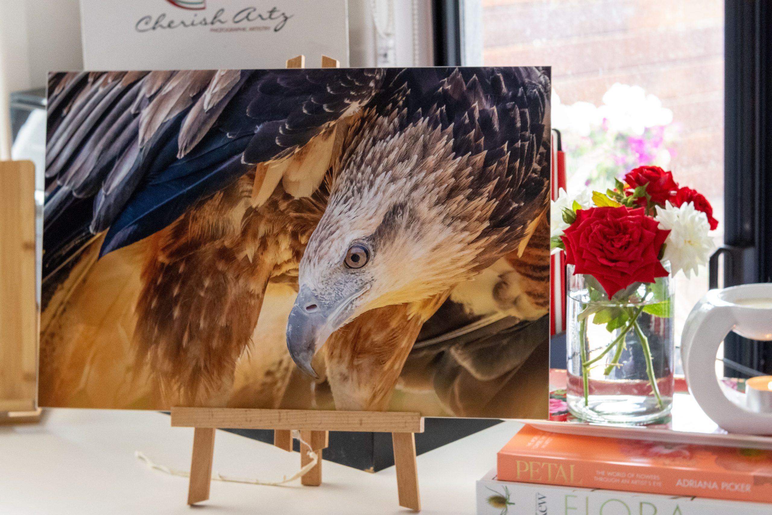 photograpy competition prize by cheryl eagers