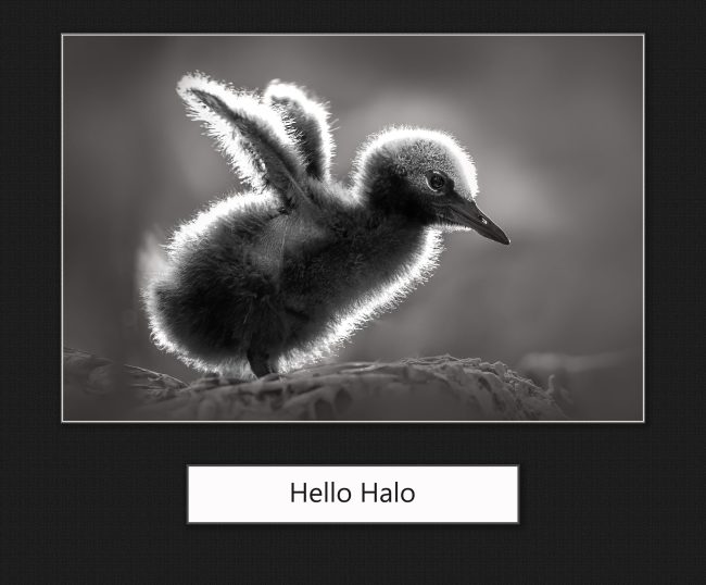 how to create digital frame in photoshop with ps actions