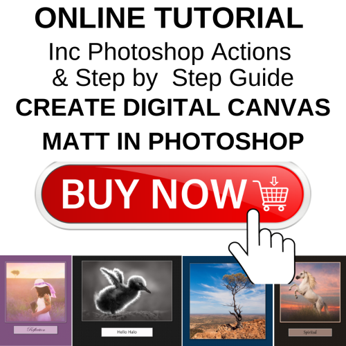 photoshop digital canvas mat actions