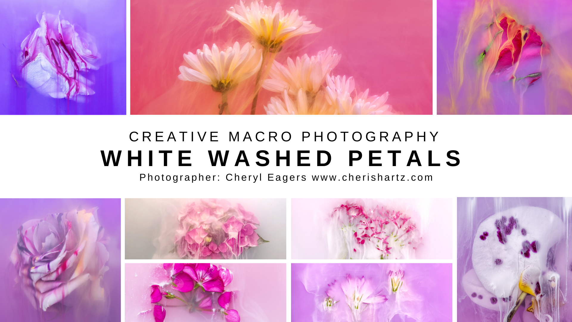 creative macro photography using paint and flowers
