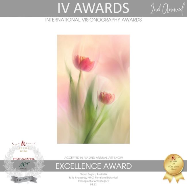Tulip Rhapsody EXCELLENCE 1ST Place IV AWARD 2ND ANNUAL